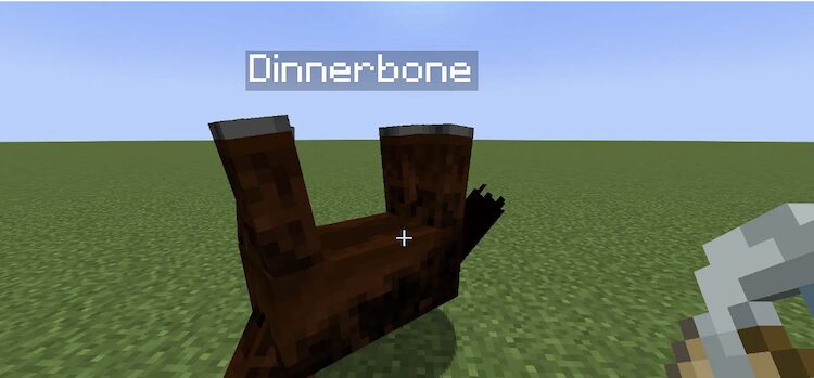نام Dinnerbone هر ماب را در بازی ماینکرافت سر و ته می‌کند.